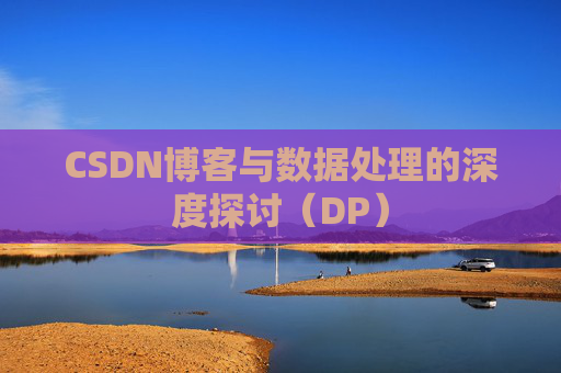 CSDN博客与数据处理的深度探讨（DP）